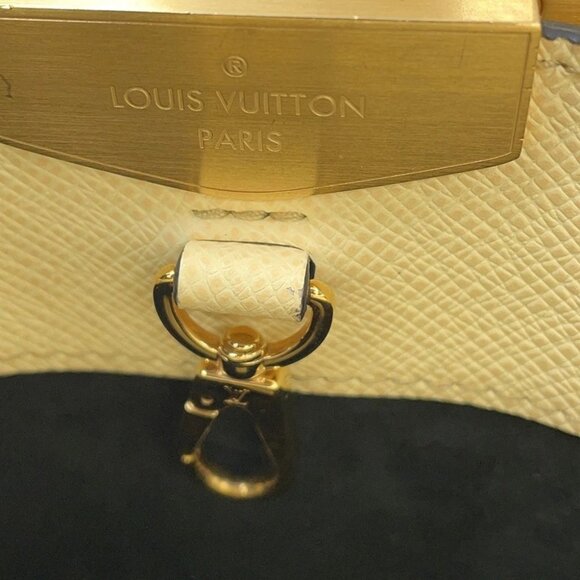 LOUIS VUITTON City Frame Taiga Leather Yellow - Picture 10 of 16